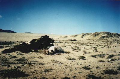 Click to enlarge