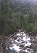 Wildbach im Nationalpark